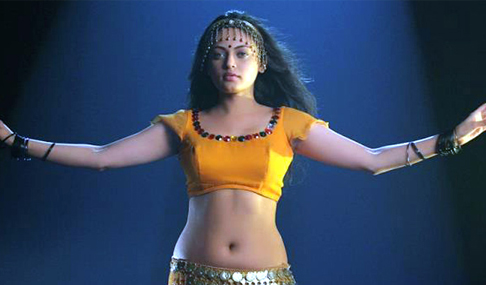 Sneha Ullal Spicy Photo Gallery